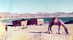 NaamaBay1975