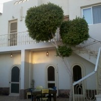 Tarbouche House Dahab