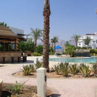 One bedroom Apt. for rent in Sunterra