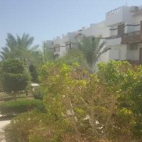 one bedroom 50m2 apartment for sale