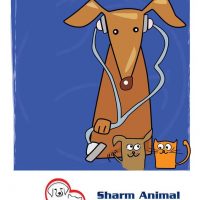 Sharm Animal Clinic
