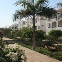 one bedroom apartment for sale 