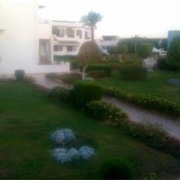 2 ed room for rent in delta sharm