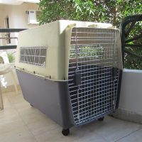 Dog's Transportation Cage FOR RENT