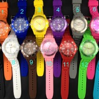 ICE WATCH   - OFFER