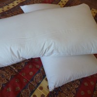 Goose down pillows