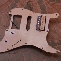 guitar pickguard with one pickup