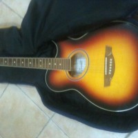 Trembita Acoustic Guitar with EQ
