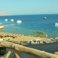 2 bedroom apartment in Sharks Bay for sale