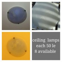 Ceiling Lamps