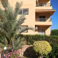 Flat without furniture at swiming pool in Sierra Compound napq Area 