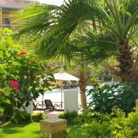 For a dream holiday in Sharm