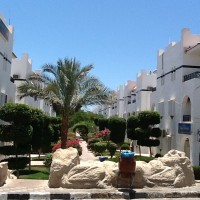 Nice flat in Rivera Resort from owner