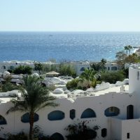 Domina Coral Bay incredible price