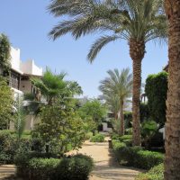 For sale in Delta Sharm