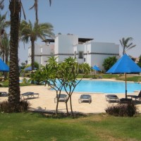 FOR RENT one bedroom apartment in Sunterra