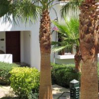 Delta Sharm, one bedroom apartment for sale
