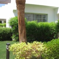 Delta Sharm, one bedroom apartment for sale