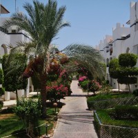 For rent one bedroom in Riviera Sharm