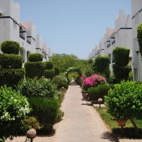  apartment for sale in Riviera Sharm