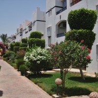 Riviera one bedroom for sale