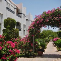 Riviera Sharm,  for sale.