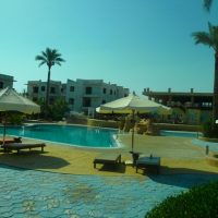 Fantastic one bedroom apartment to rent