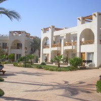 One bedroom apartment for rent in Sunny Lakes ( zone C ).