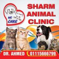 Sharm Animal Clinic 