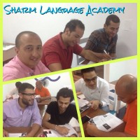 Sharm Language Academy - Language Courses