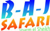 logo_bajsaflo